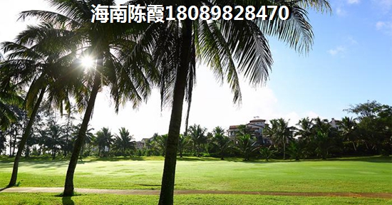 临夏2023年XG吗？